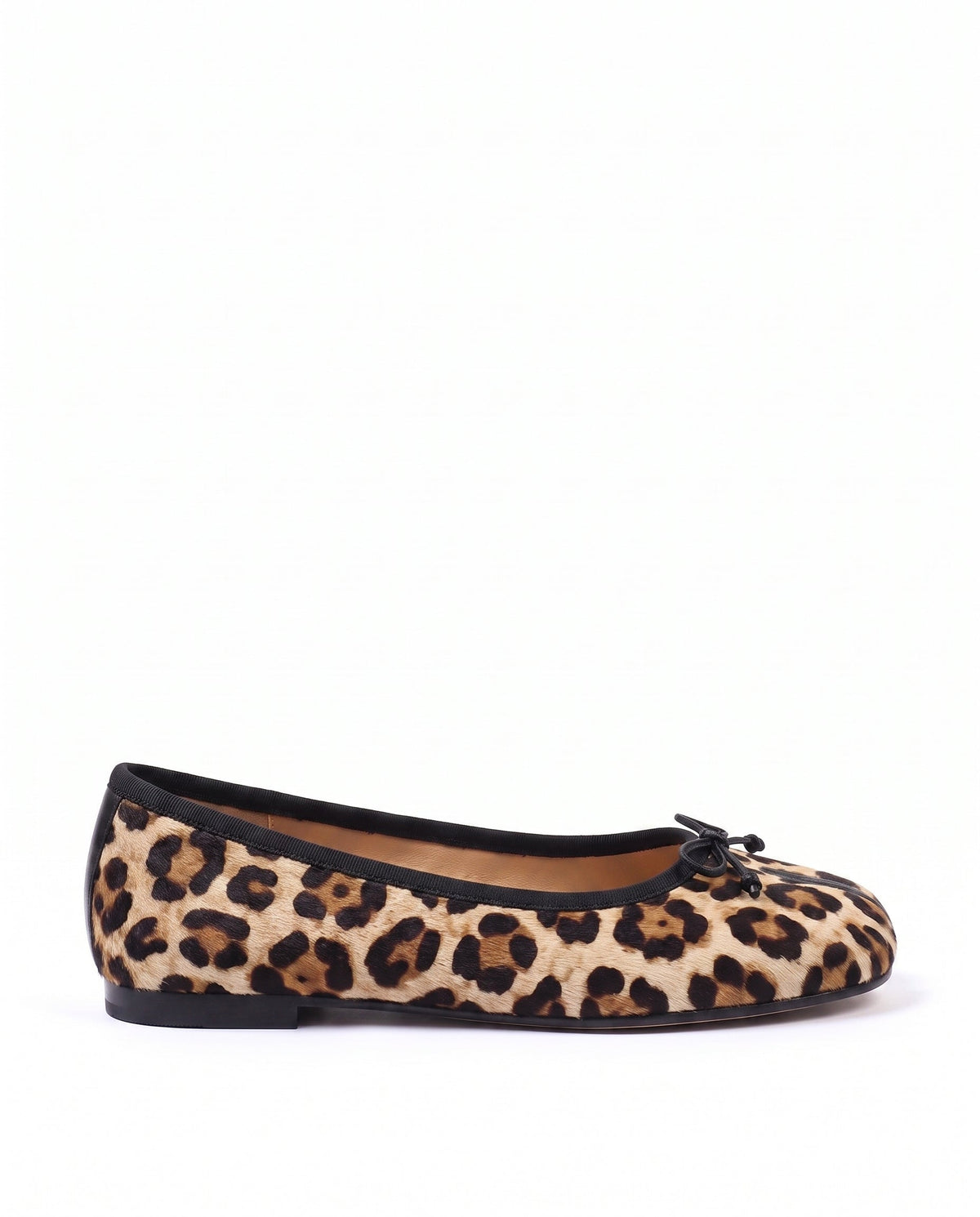 selector:gid://shopify/MediaImage/74195837256005